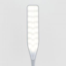 Настольная лампа Eurosvet 80422/1 белый