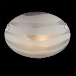 Настенно-потолочный светильник Eurosvet 2737/2 хром