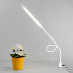 Светодиодная настольная лампа Eurosvet 80429/1 белый